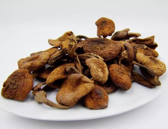 國(guó)家蘑菇地理：中國(guó)哪里的蘑菇最好吃？