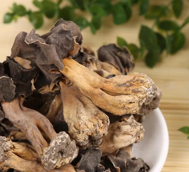 國(guó)家蘑菇地理：中國(guó)哪里的蘑菇最好吃？
