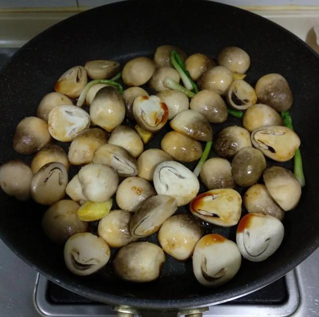 國(guó)家蘑菇地理：中國(guó)哪里的蘑菇最好吃？